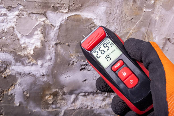 Mold Removal and Inspection in Kihei, HI