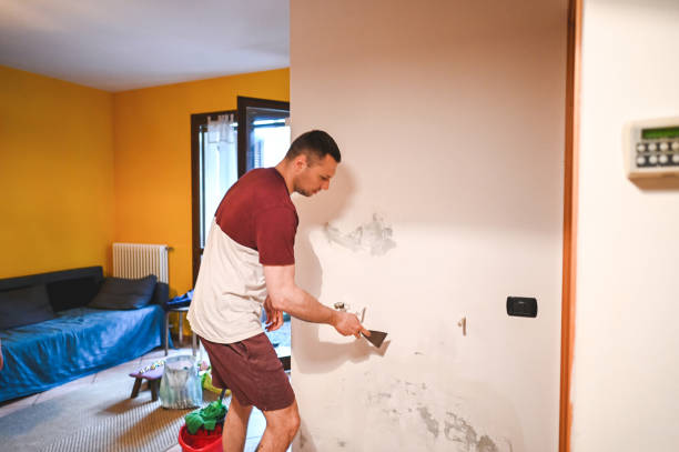 Best Mold Cleaning Services  in Kihei, HI